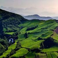 اجاره ویلا در مینودشت